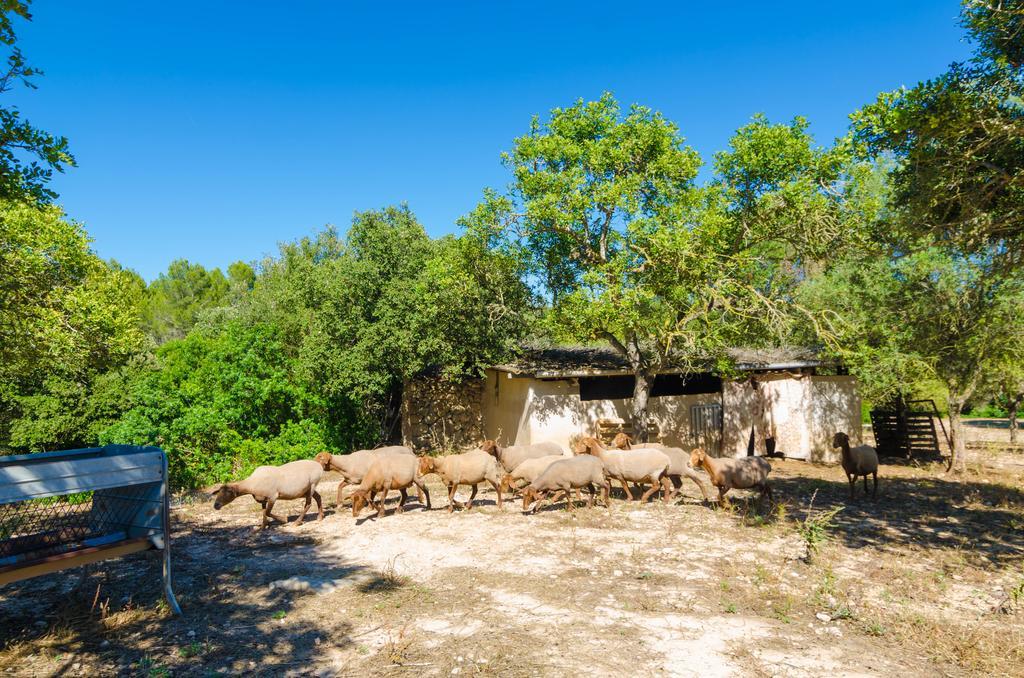 S'Aresta Den Rumbet Villa Llucmajor  Exterior photo